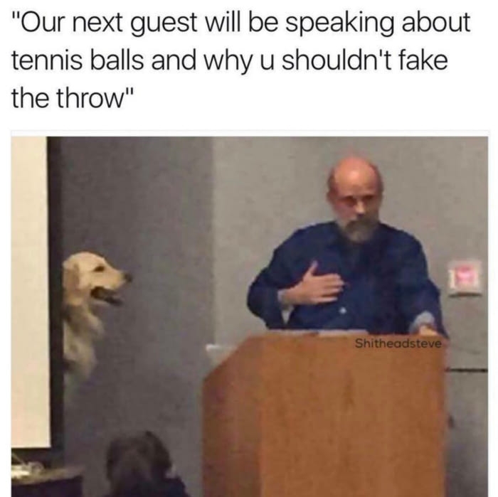 He had a ruff time
