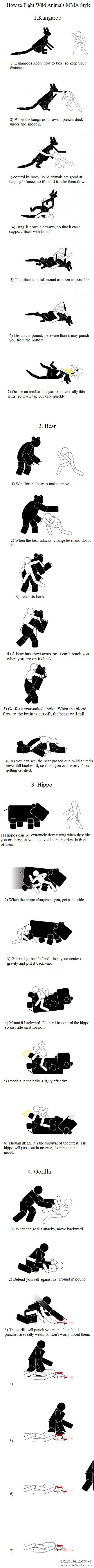 How to fight wild animals MMA style