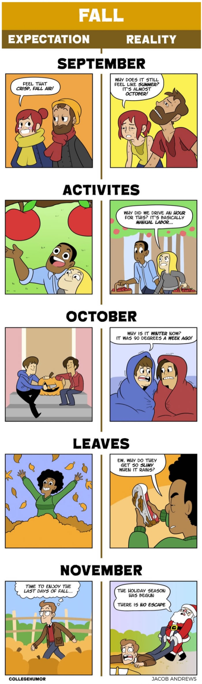 Fall: Expectations Vs Reality