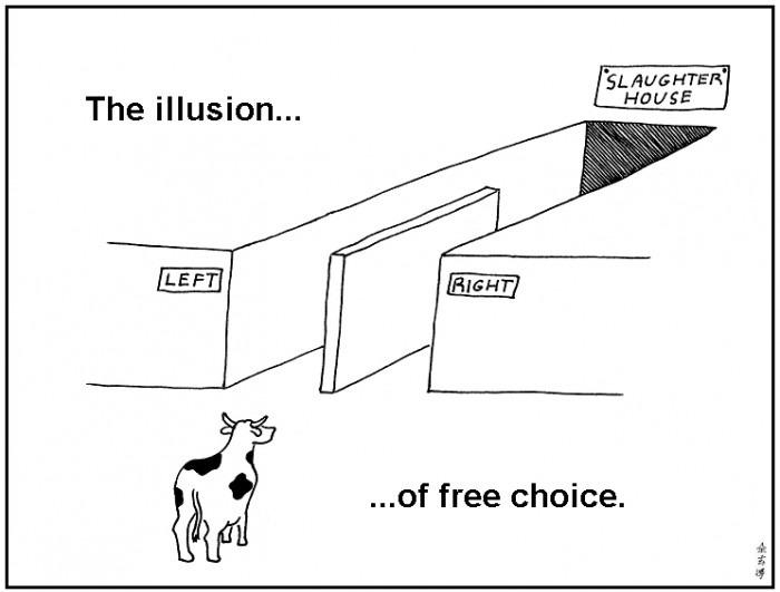 The illusion of free choice