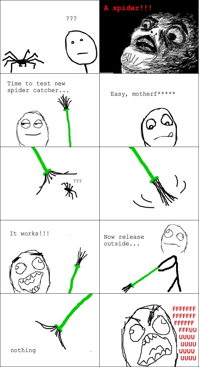 Spider catcher