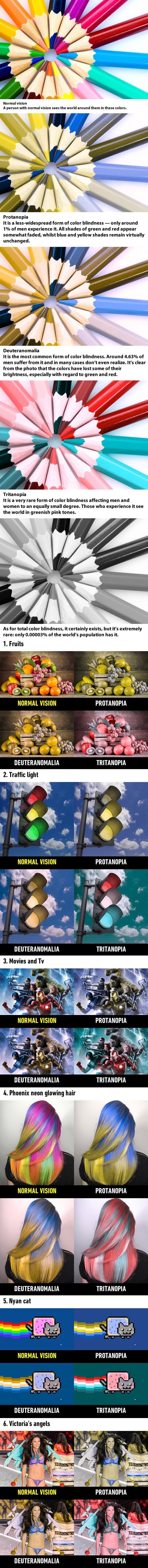 How people with different types of colour blindness see the world