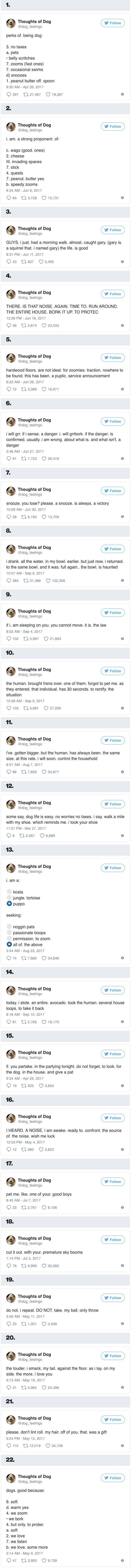 Thoughts of a Dog