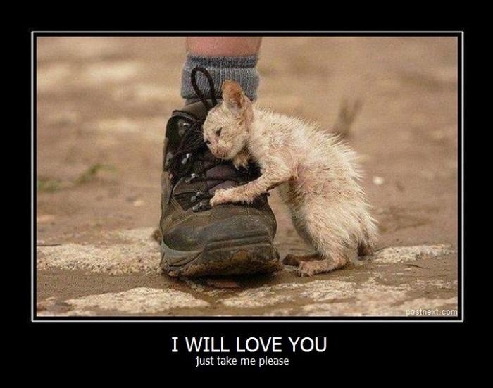 Please?