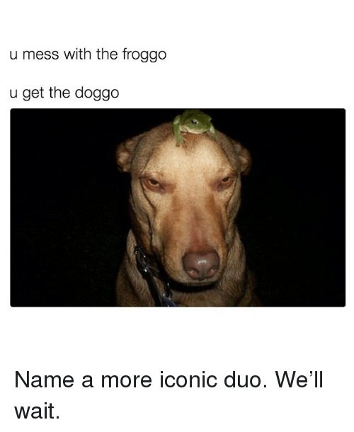 Never mess with the froggo