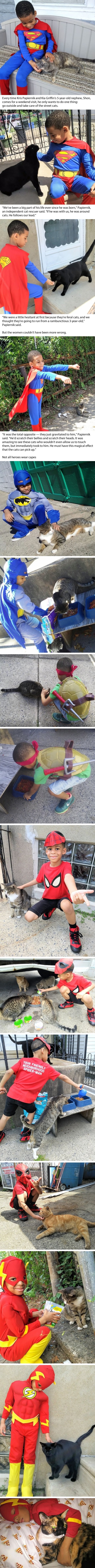 5 y/o boy who saves street cats is the hero we all want