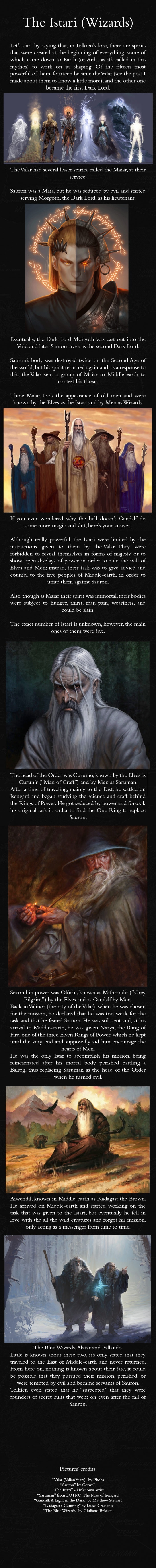The Wizards of Middle-Earth