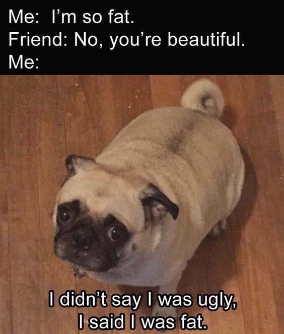 Now I know I'm also ugly