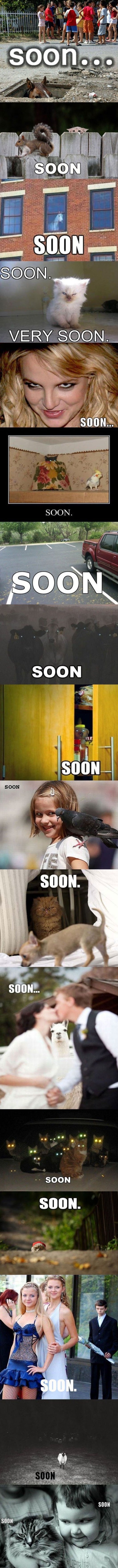 Soon...