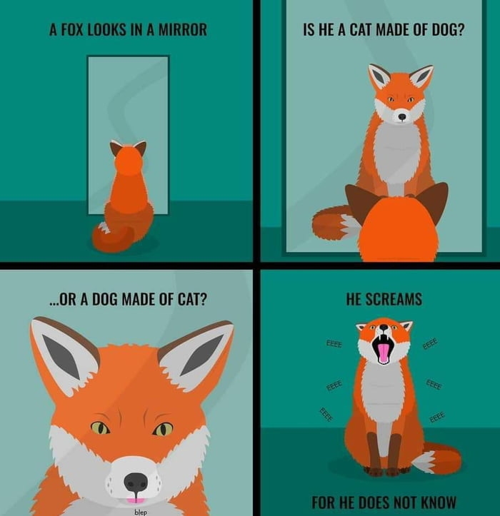 A fox is just cat software on dog hardware