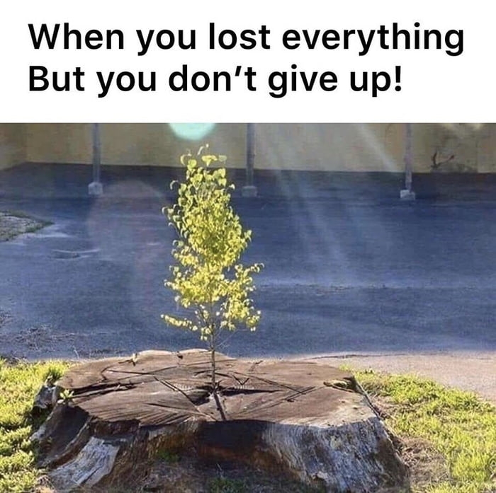 Never give up