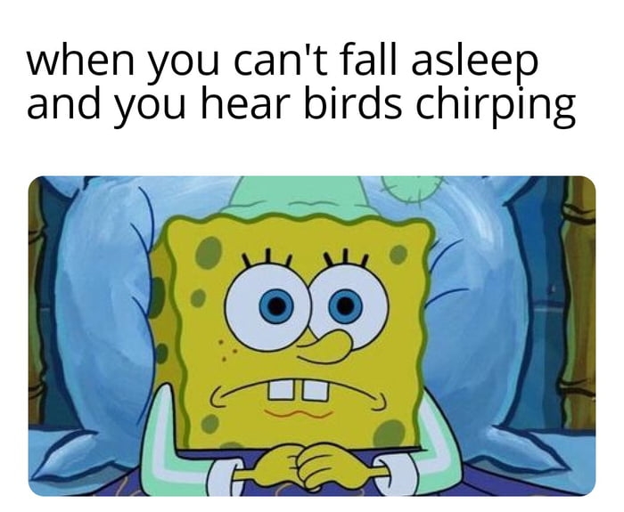Birds laughing at you