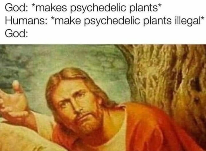 Psychedelic plants