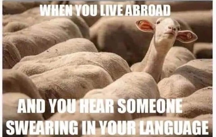 Swearing