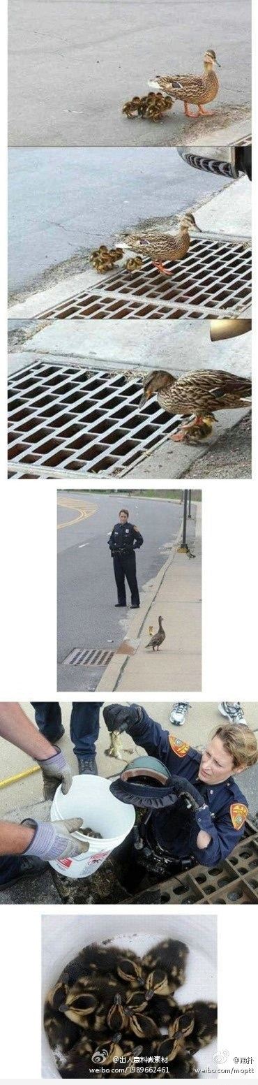 Faith in humanity: Restored
