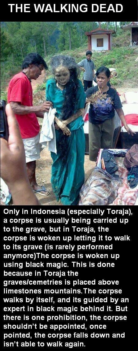 The walking dead