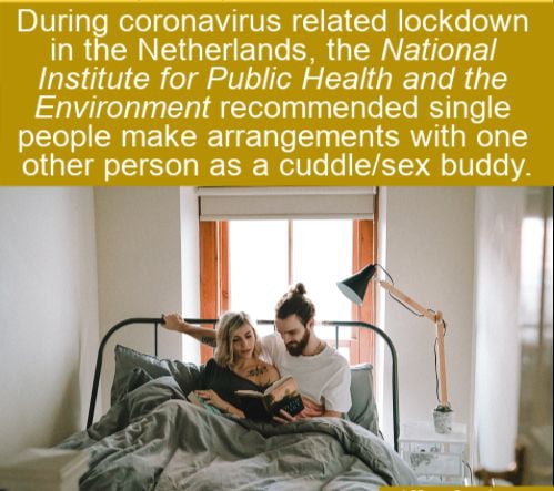 Lockdown for single people