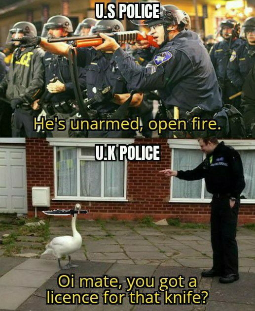 US vs UK Police