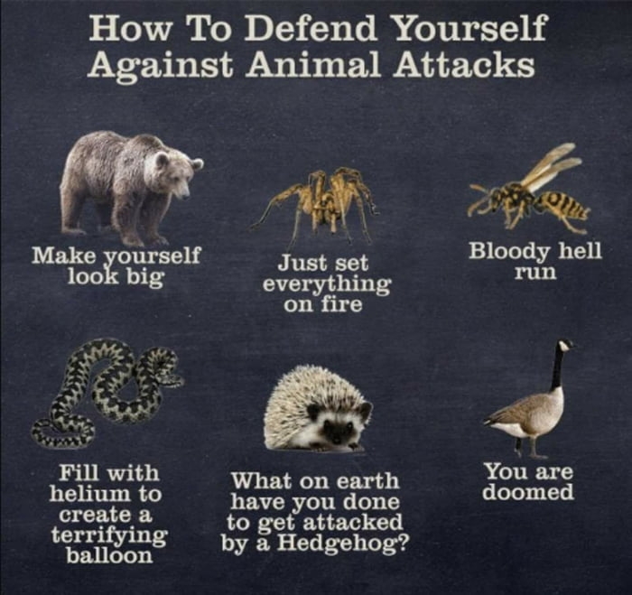 How to defend yourself against animal attacks