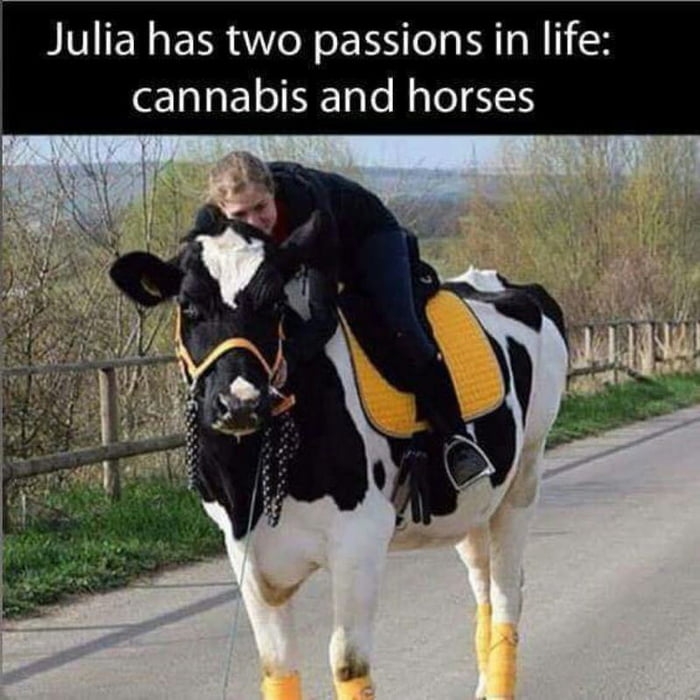 Meet Julia