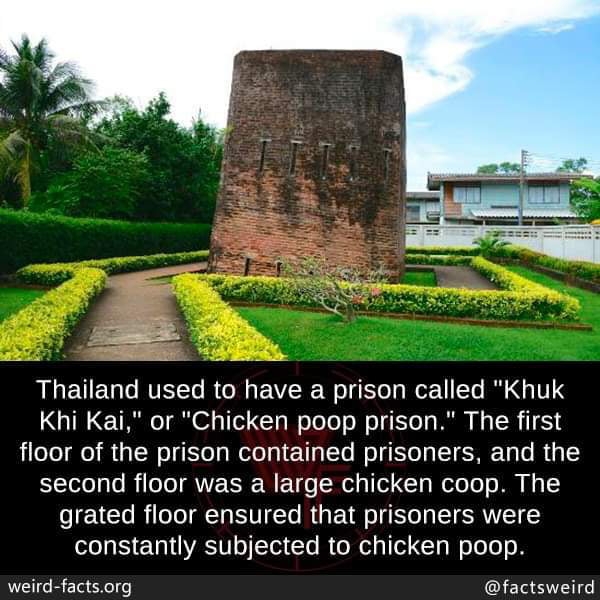 Chicken poop prison