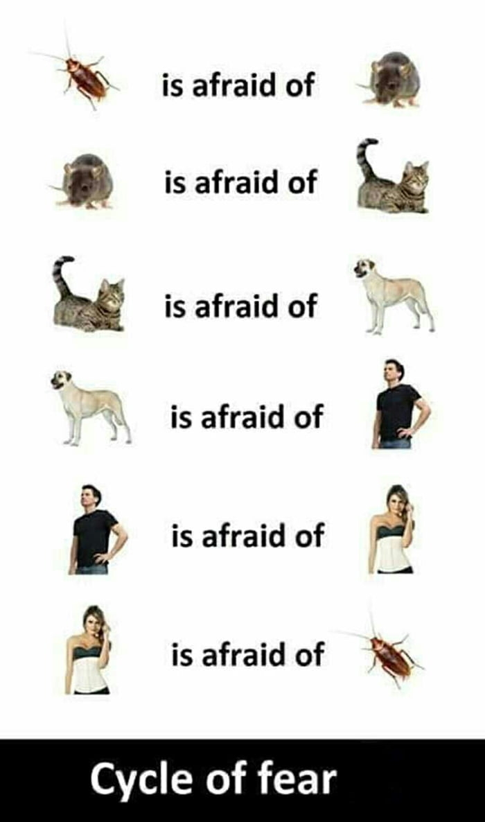 Cycle of fear ♻