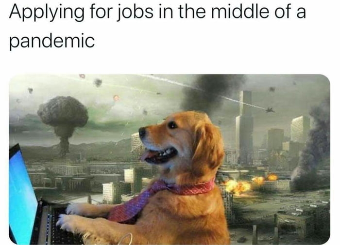 Applying for jobs