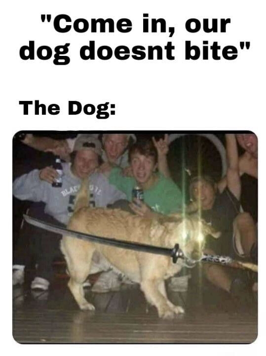 Dog doesn't bite