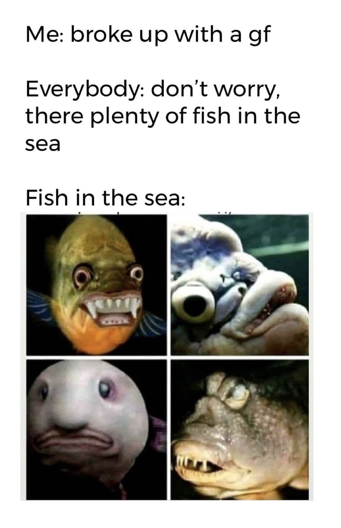 Plenty of fish in the sea
