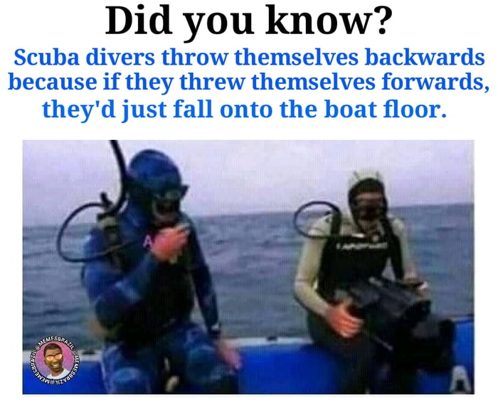 Scuba divers