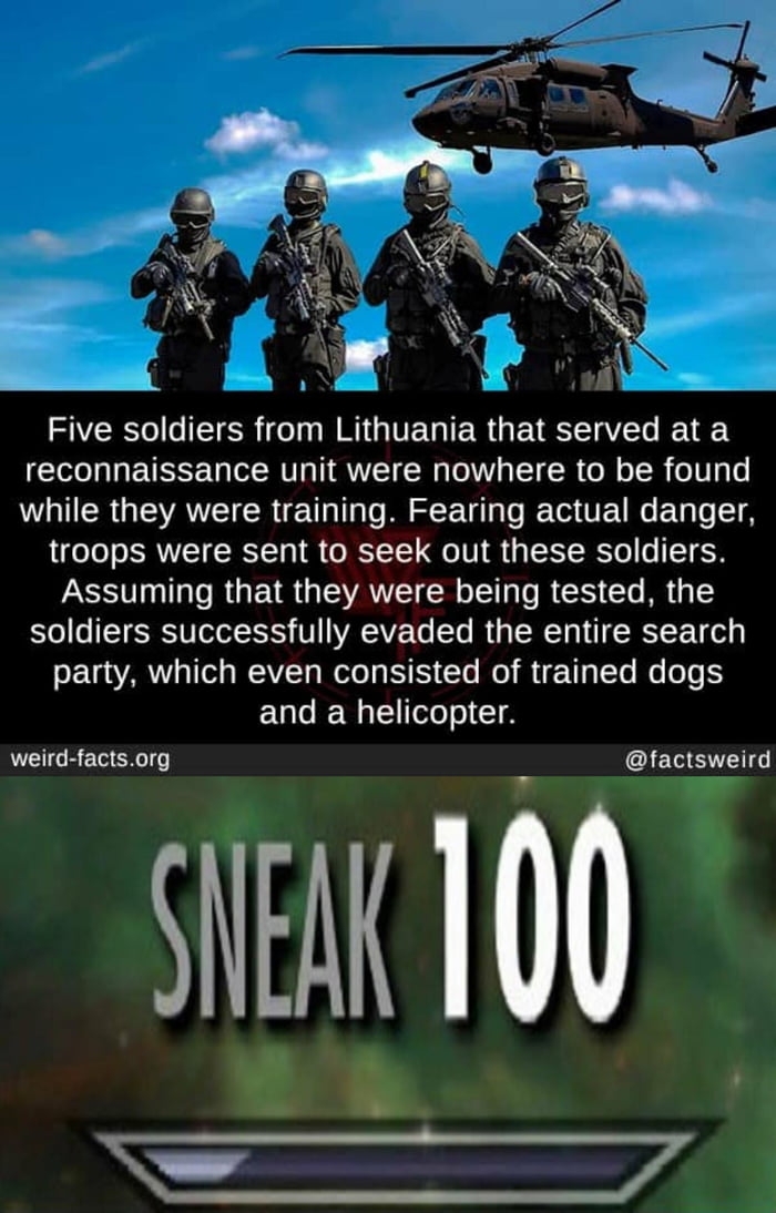 Soldiers from Lithuania