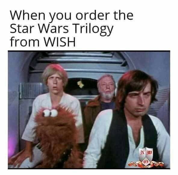 Wish has got everything you need