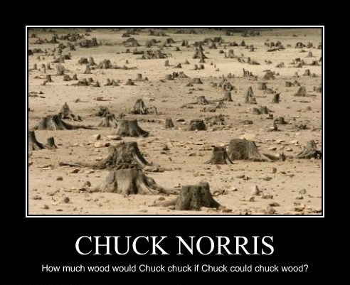 Chuck Norris