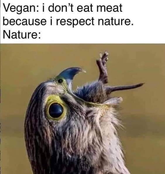 I don't eat meat because I respect nature