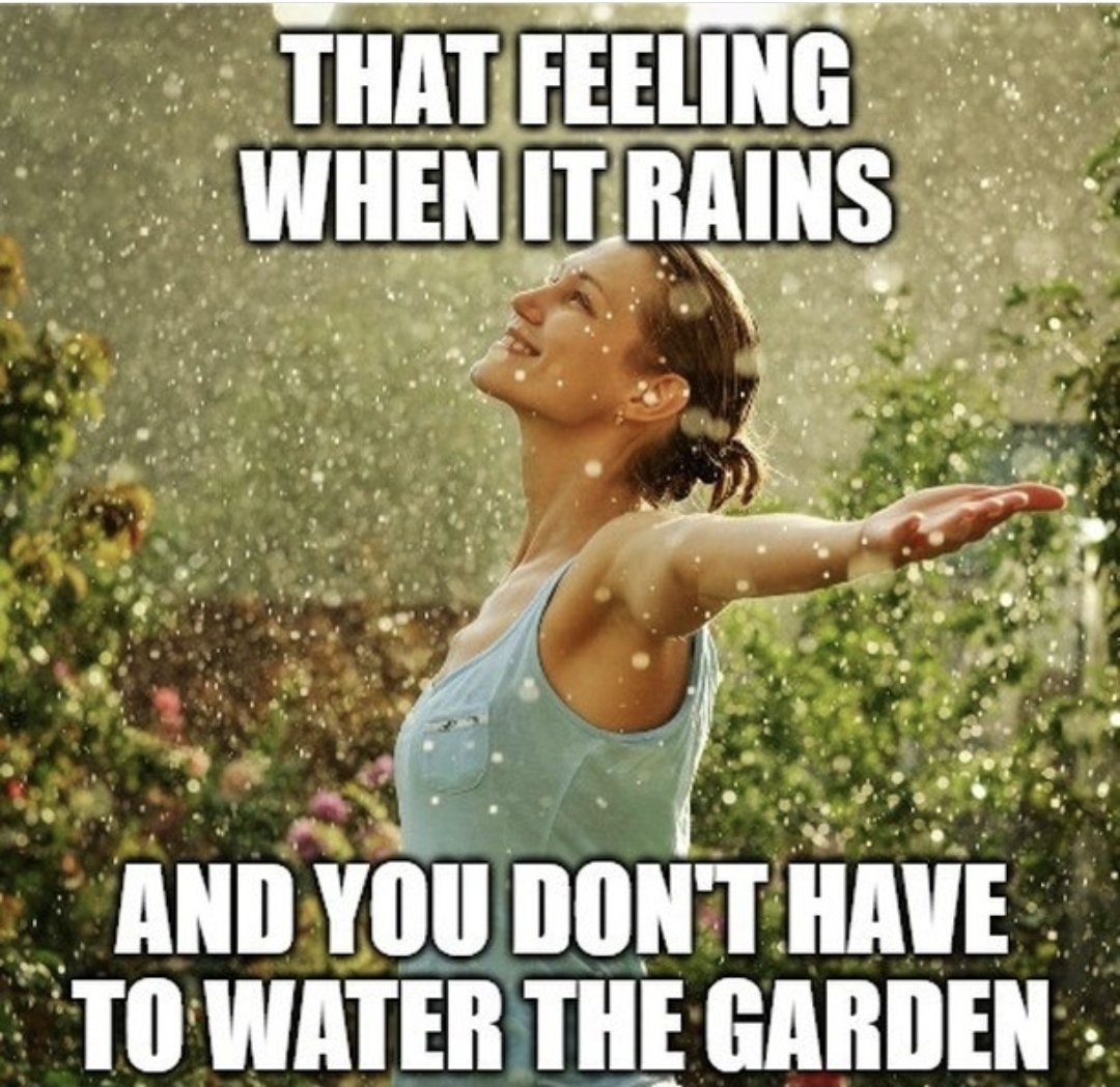 This one dedicated to all the gardener's