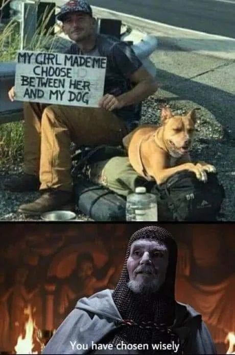 Dogs>Hoes