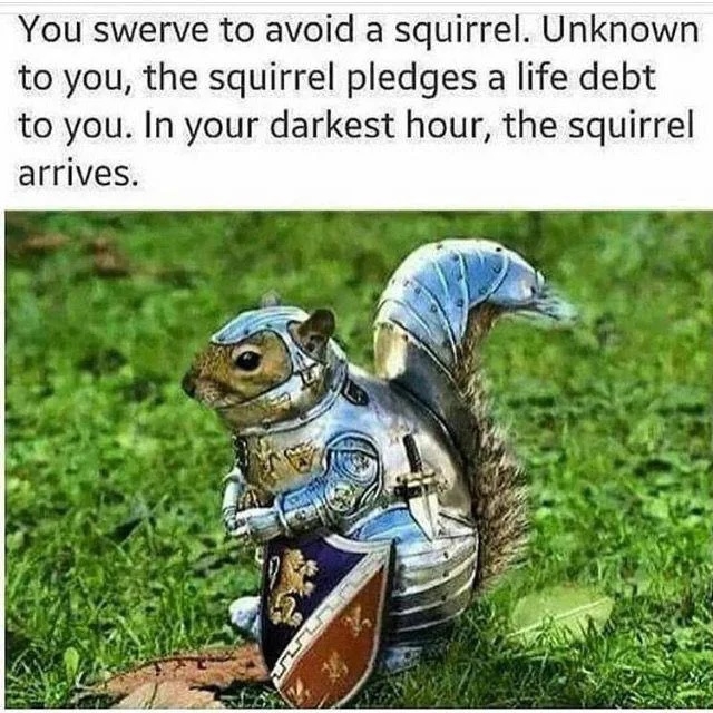 Squirrel forever in debt to you