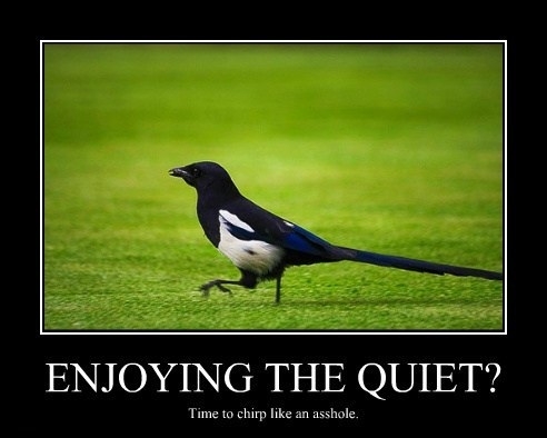 Enjoying the quiet?