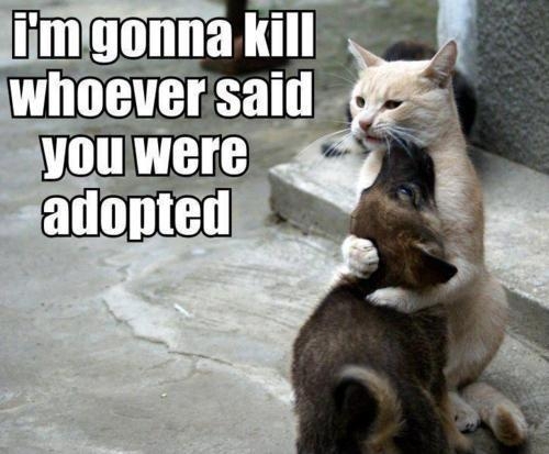 Adopted