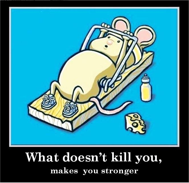 A life lesson