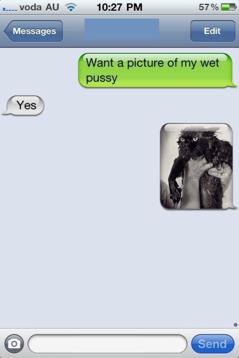 Pu**y cat