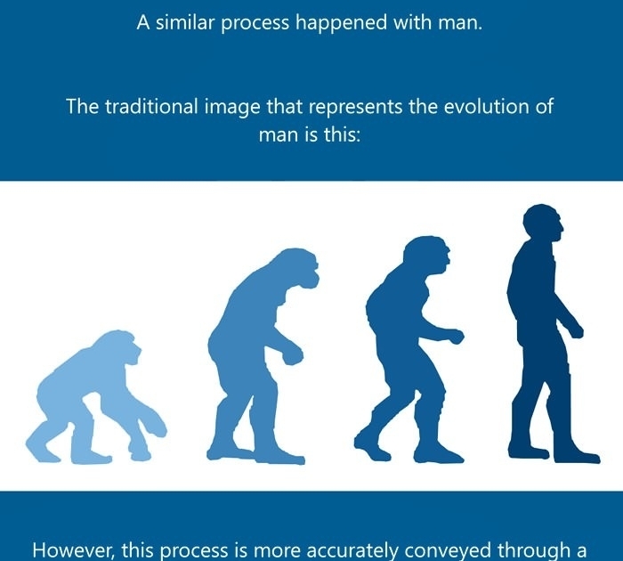 Human Evolution