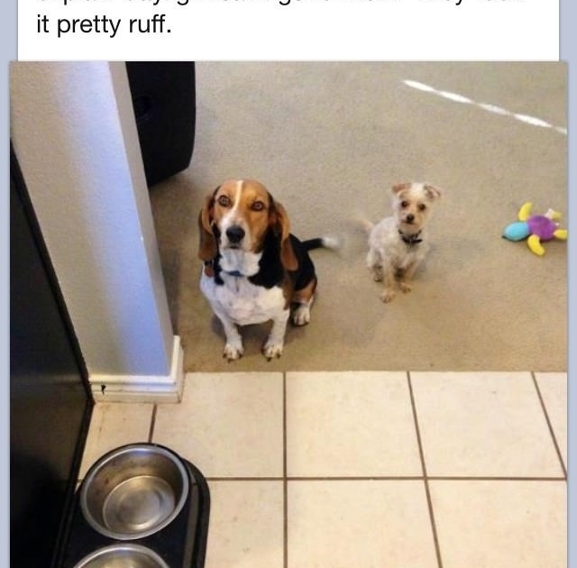 They've no concept of time