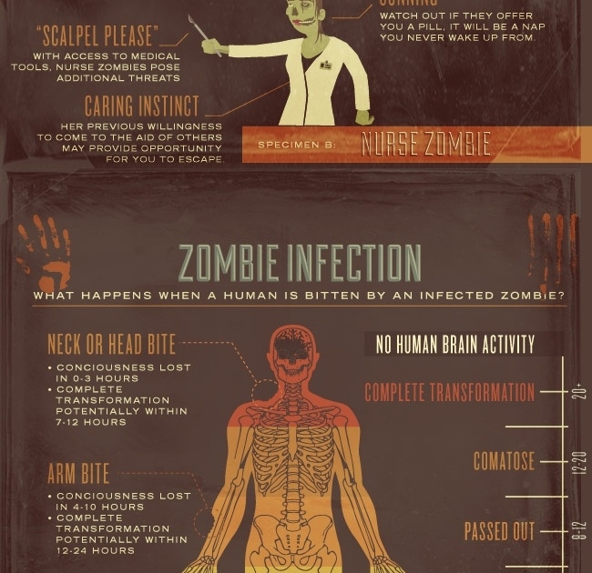 Guide to Zombie Survival
