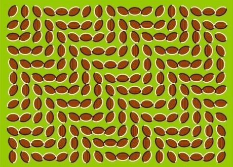 Stop doing drugs now