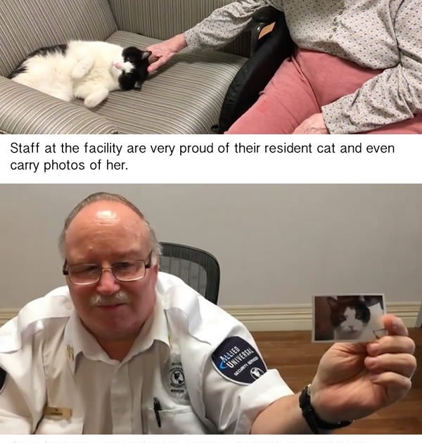 Stray cat wanders into a nursing home..