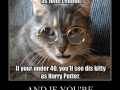 Just a cat for gods sake!