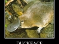 Duckface
