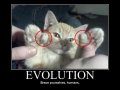 Cats will rule the world.