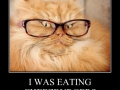 Cuz I am cool like dat!